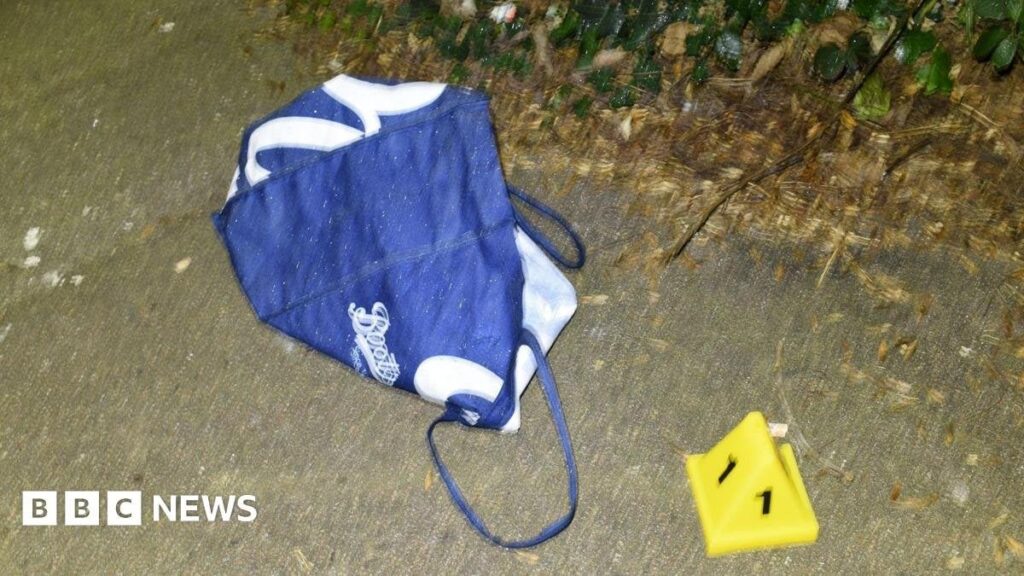 A £20,000 reward offered as police search for parents of three abandoned babies