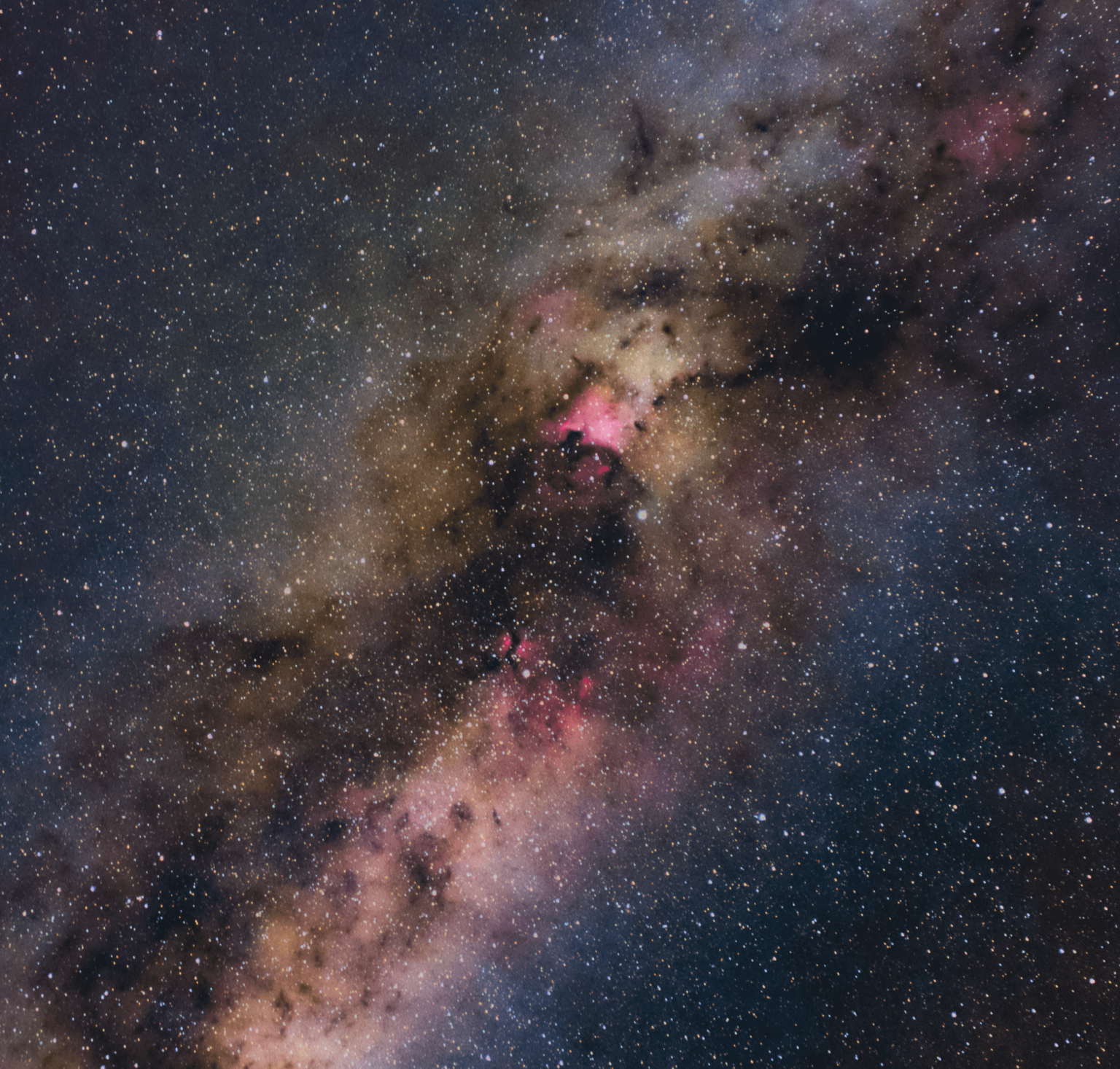 Cygnus region captured with a phone lens