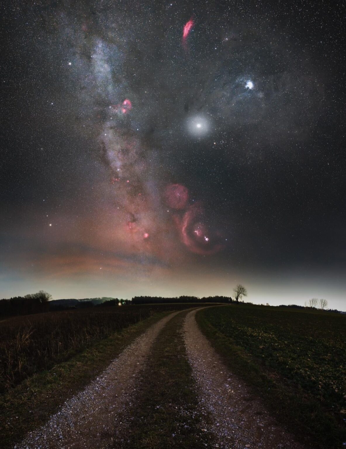 The Winter Milky Way, (OC), [1290x1674]
