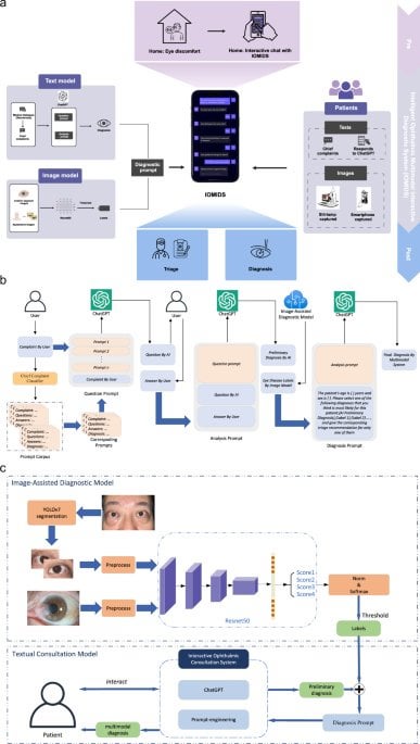 Multimodal machine learning enables AI chatbot to diagnose ophthalmic diseases and provide high-quality medical responses | npj Digital Medicine