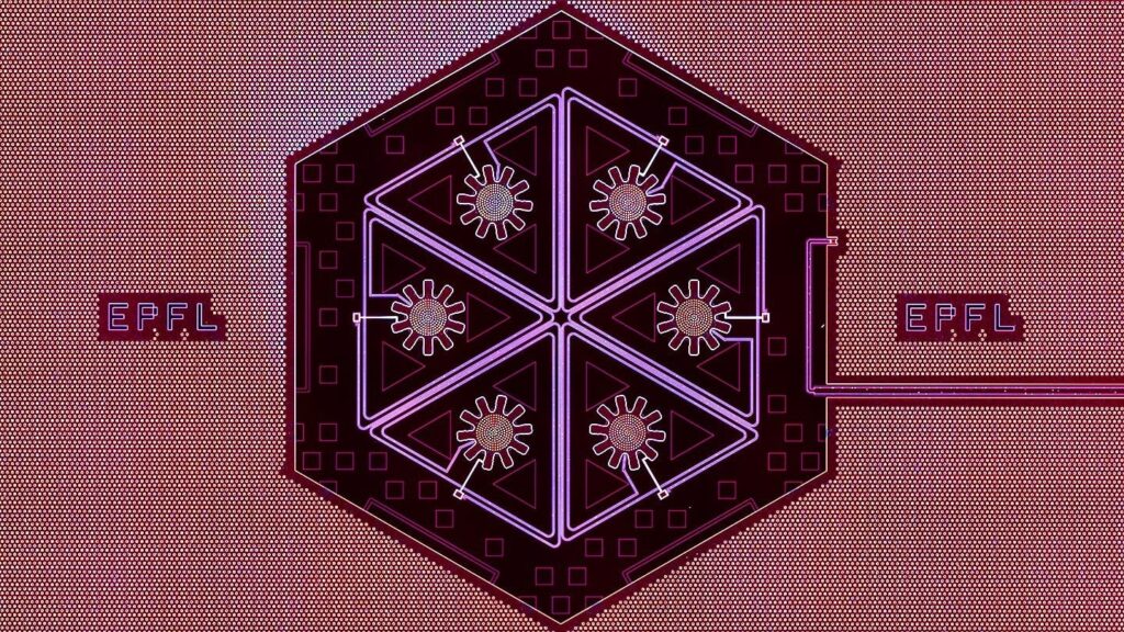 Revolutionizing Quantum Tech: Scientists Achieve Collective Motion in Macroscopic Oscillators - This advance paves the way for innovations in quantum computing and sensing.