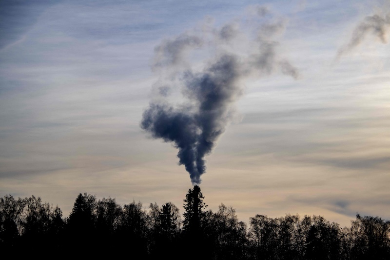 WWF criticises Finland and Sweden over failure to protect old-growth forests