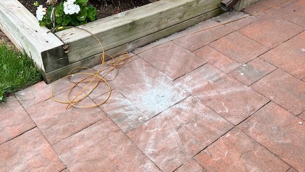 Video: Meteorite strike in Canada: 'not like anything we've ever heard before'

A Prince Edward Island homeowner captured what's believed to be a first: the sight and sound of a meteorite striking the Earth.