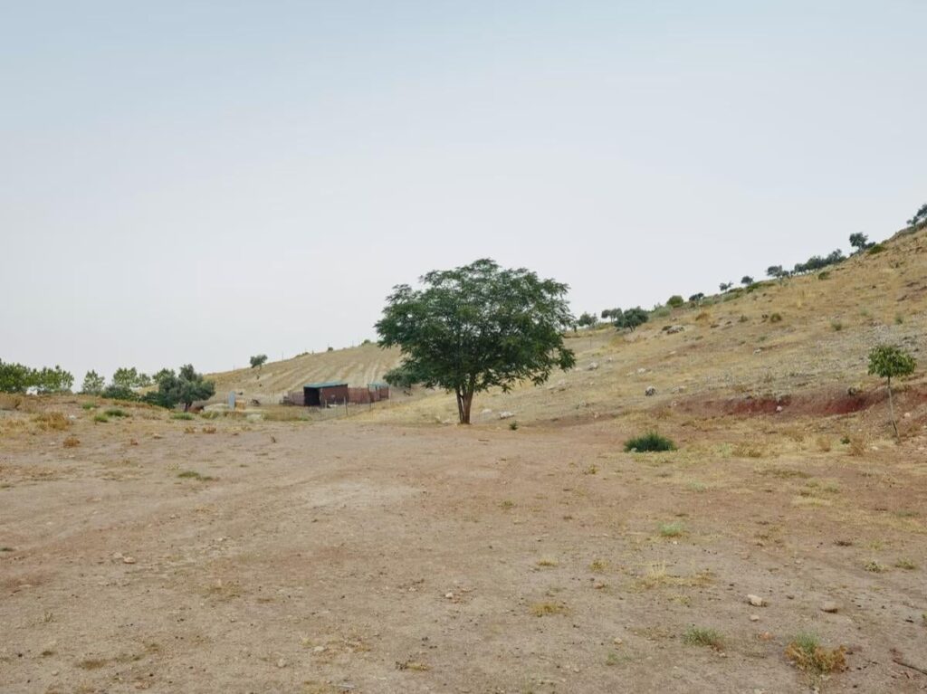 German photographer Miquel Gonzalez captured a hill that slopes into a field where 400 people—including poet and playwright Federico García Lorca—were buried in Spain.