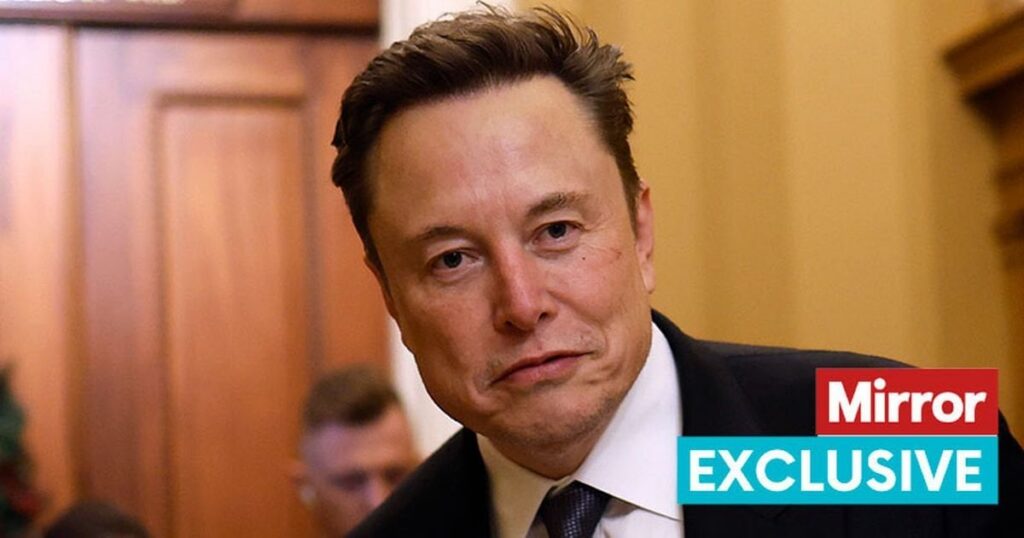 Exclusive: 'Elon Musk's rants made me sick' says survivor of child grooming gangs