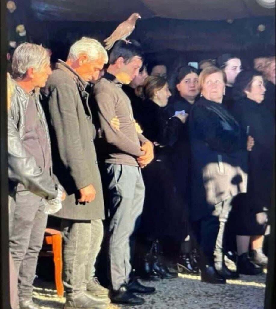 Pigeon Lands on Grieving Father’s Head During Funeral for His 5 Daughters Lost in Tragic House Fire