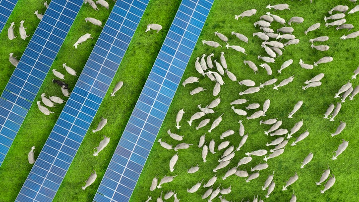 Harmony Energy invests in solar farms in New Zealand