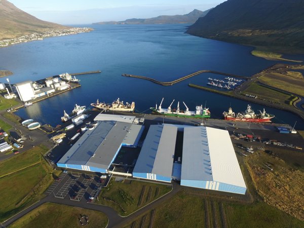 The Icelandic fishing sector has hit back at claims from Audun Maråk that their pelagic boats are intentionally landing herring as mackerel. Photo: Síldarvinnslan