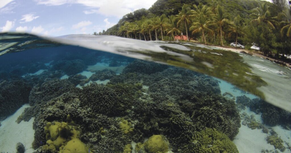Hawaiʻi governor’s climate team calls for disaster funds, environmental restoration in new report Hawaiʻi governor's climate team calls for disaster funds, environmental restoration in new report