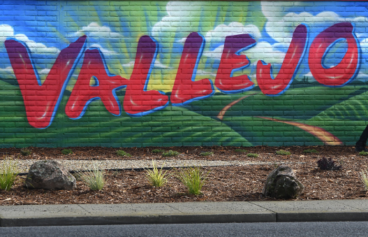 Faces and Places – Times Herald Online Meeting coming Tuesday to discuss the Draft Supplemental Environment Impact Report concerning Highway 37 – Times Herald Online