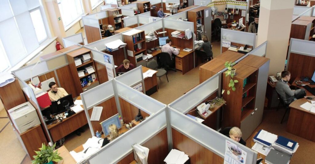 Unemployment in Bulgaria in November 2024 was 3.9% – The Sofia Globe