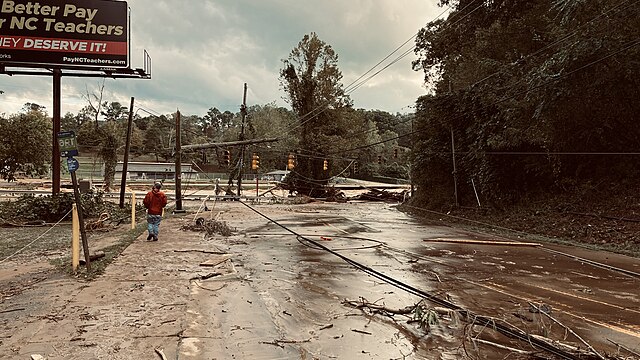 Here’s How Hurricane Helene and Milton Ravaged Floridian Ecosystems Here's How Hurricane Helene and Milton Ravaged Floridian Ecosystems