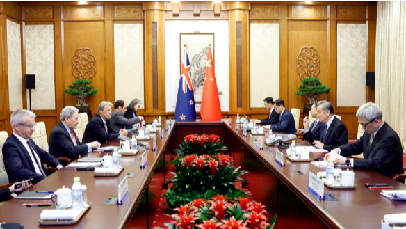Chinese foreign minister holds talks with New Zealand deputy PM
