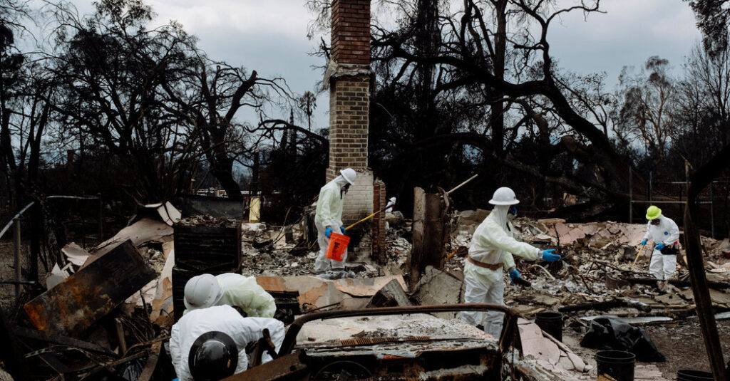 E.P.A. Workers Who Assist Heavily Polluted Communities Are Put on Leave