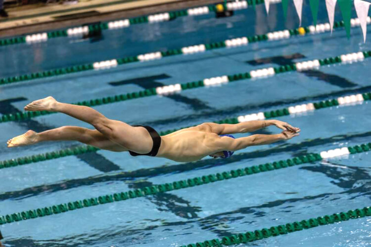 Familiar ring to state quest for Warren swimmer Mason Francis | News, Sports, Jobs