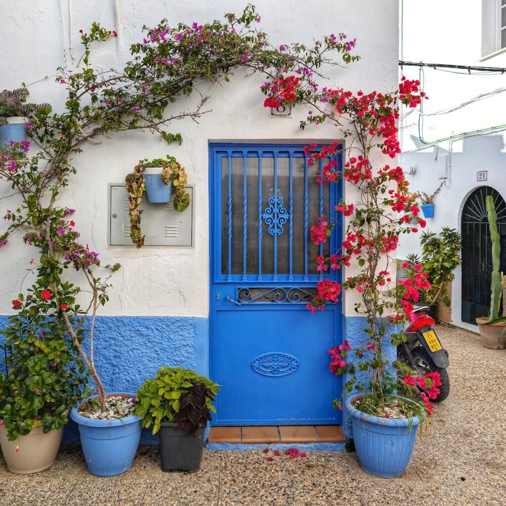 How beautiful is this door! [Conil de la Frontera]