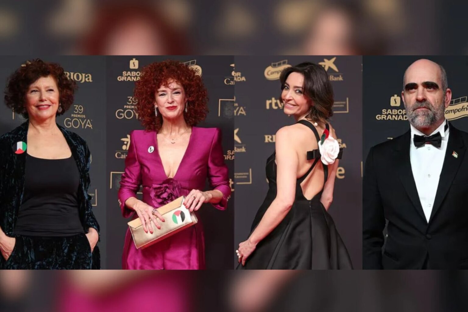 39th Goya Awards in Spain see strong support for Palestine once again 39th Goya Awards in Spain see strong support for Palestine once again