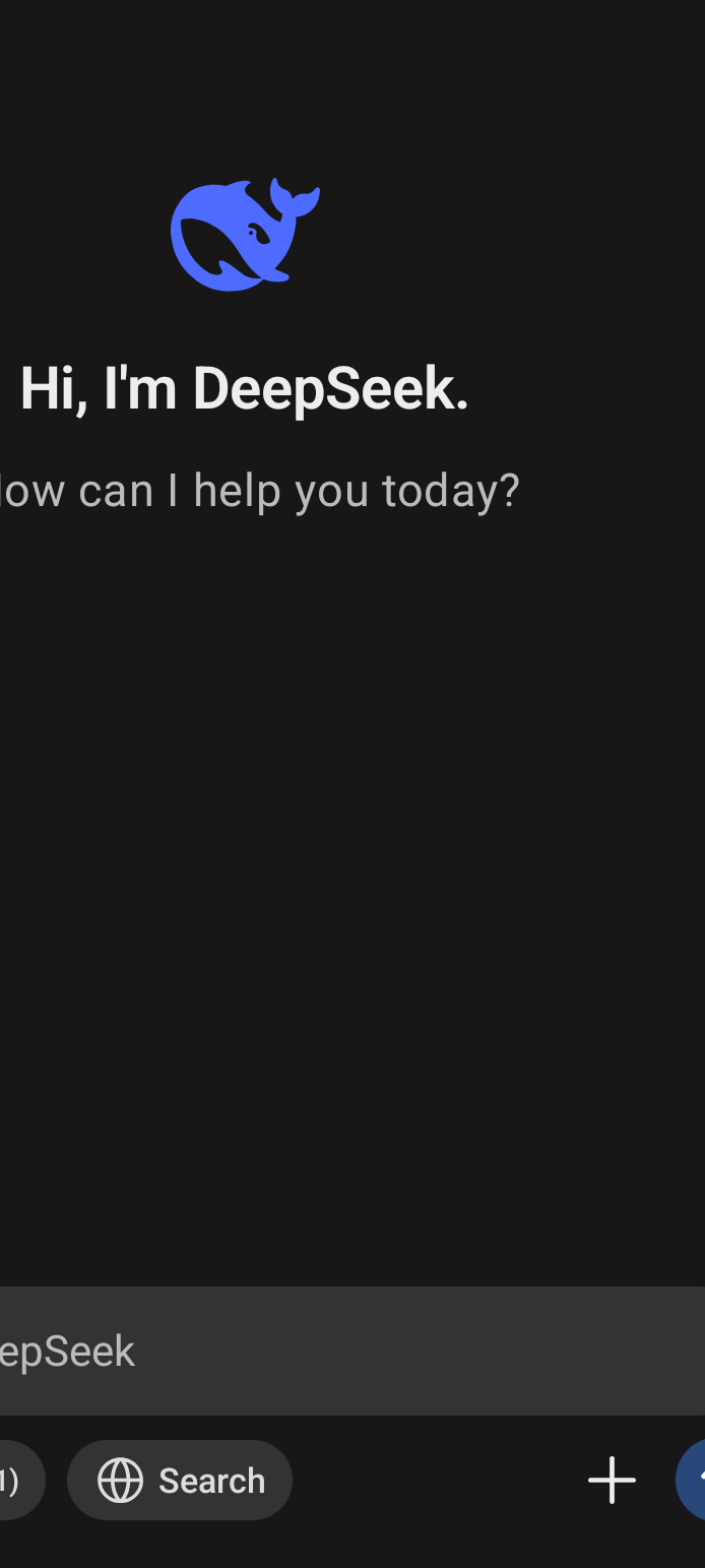 deep seek screen