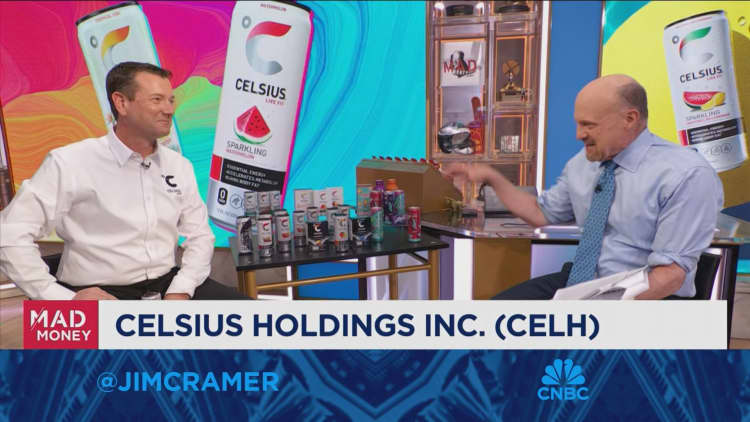 Celsius CEO John Fieldly: Sugarfree was the largest segment of the energy drink category in 2024