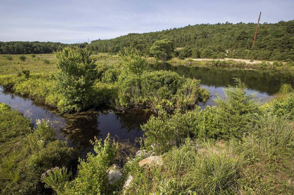 For Mass. environmental groups, federal funding is now 'a gamble'