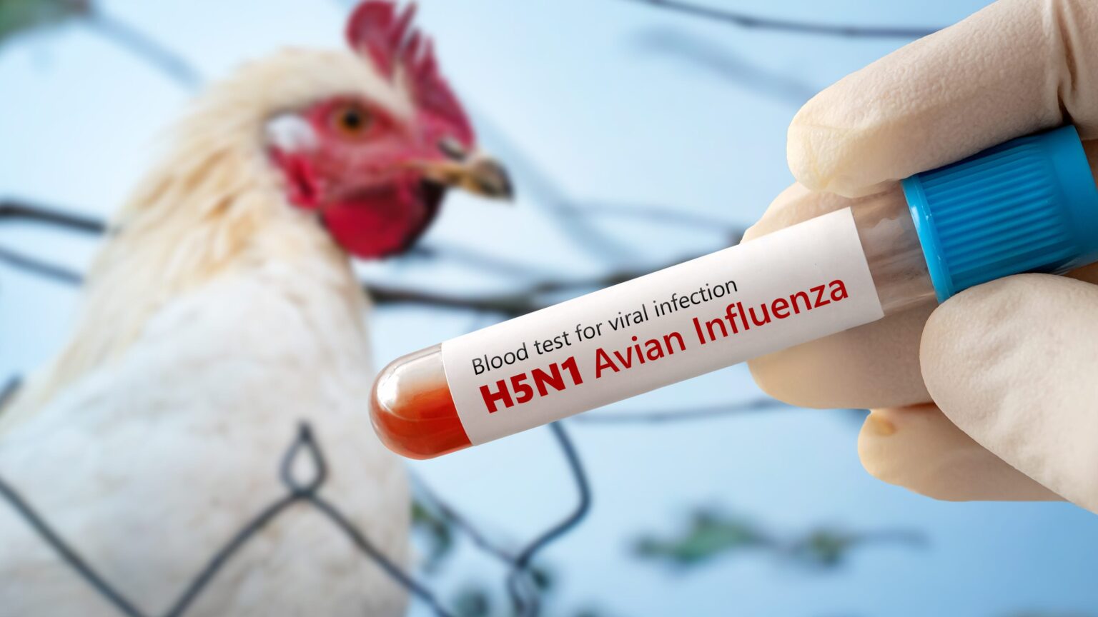 Ohio reports first human case of bird flu in the state