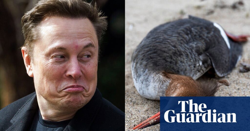 Musk’s takeover of US health agencies raises pandemic threat, experts warn | Trump administration