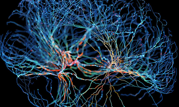 Spain aims for neuroscience lead with ‘milestone’ new centre Spain aims for neuroscience lead with ‘milestone’ new centre