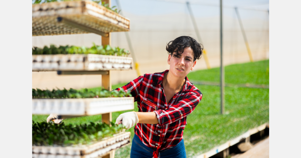 New Zealand growers welcoming positive signals from government