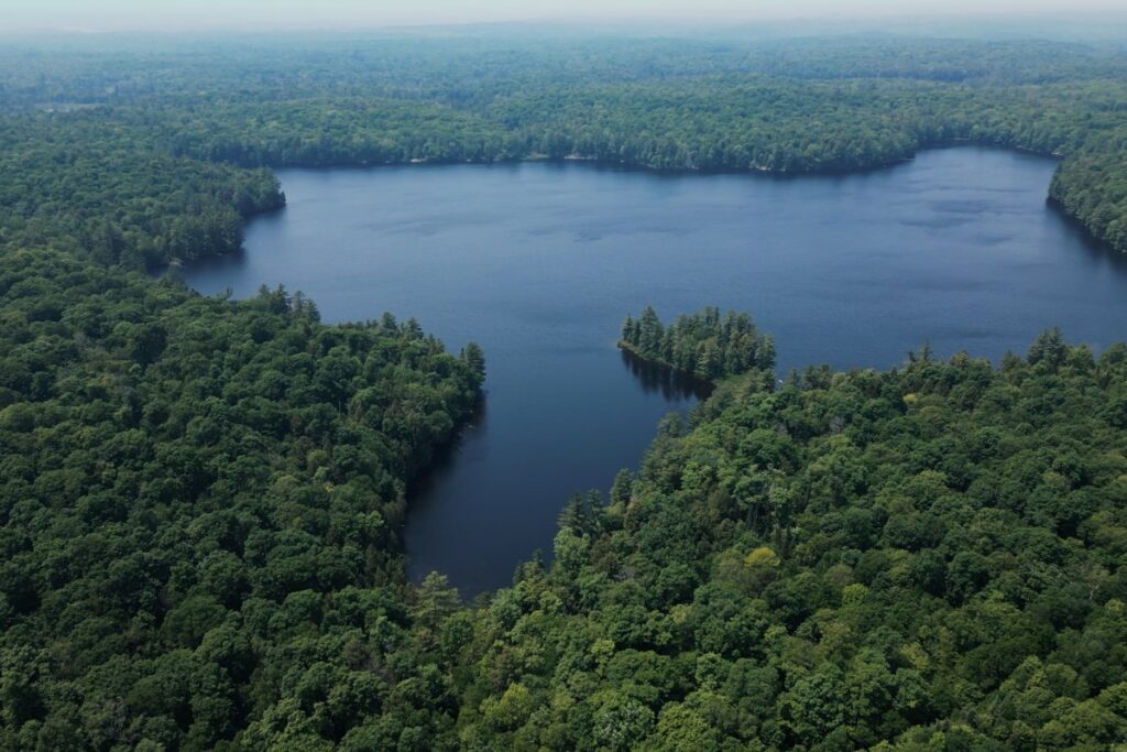LETTER: Reader urges people to vote for environment, nature