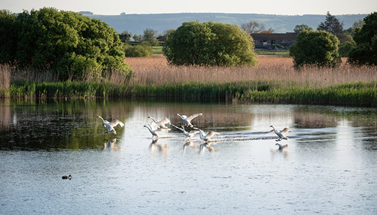 Thomson Environmental Consultants named on Environment Agency framework Thomson Environmental Consultants named on Environment Agency framework