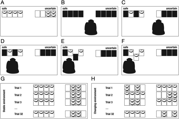 Chimpanzees adapt their exploration to key properties of the environment