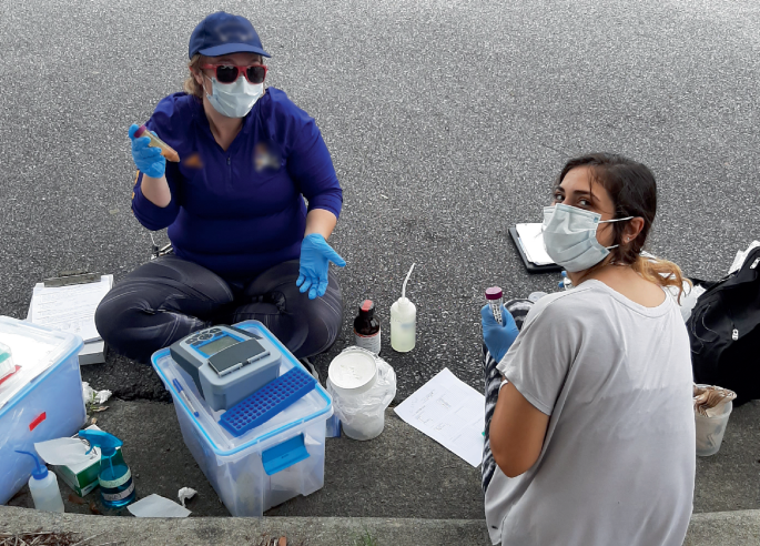 Using spectrophotometry to measure nutrient concentrations in the field