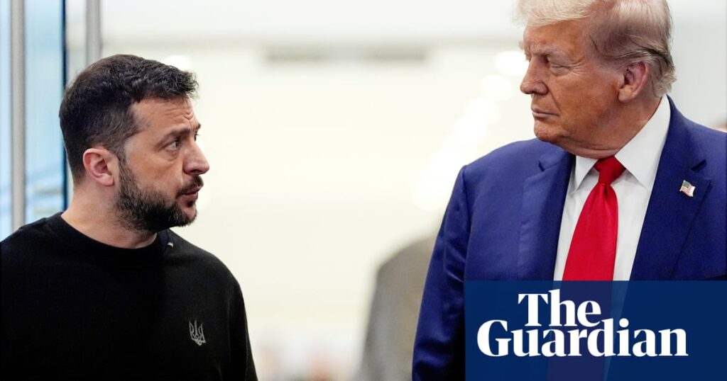 Top Democrat says Trump may seek mineral deal with both Russia and Ukraine | US foreign policy