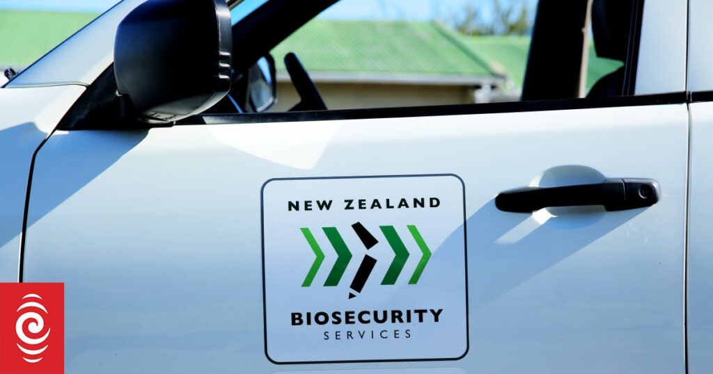 Biosecurity NZ boosting trapping after new Auckland fruit fly found