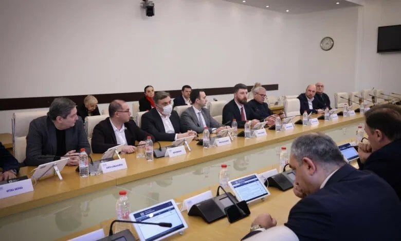 Georgian Dream moves to erase ‘gender’ from legislation