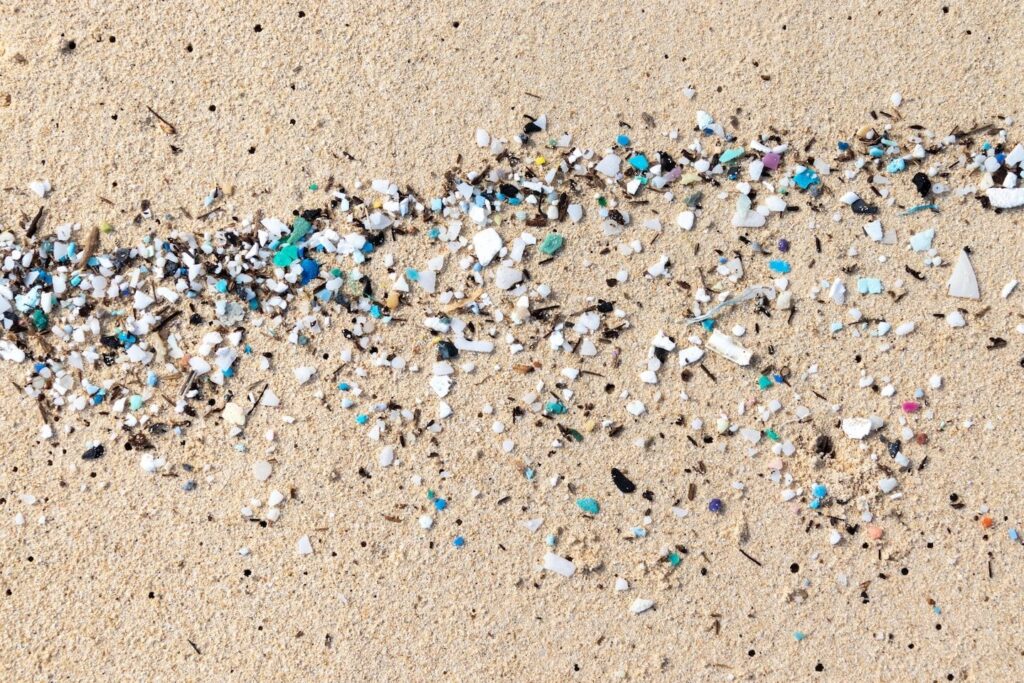 A new study shows that microplastics have crossed the blood-brain barrier and that their concentrations are rising