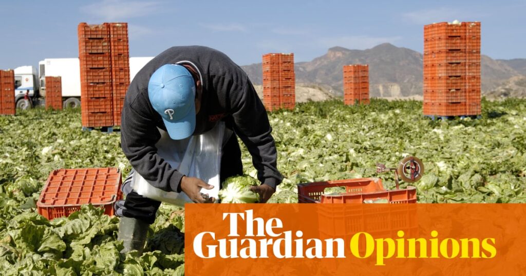 Why is Spain’s economy booming? Thanks to migration – which proves xenophobia doesn’t pay | María Ramírez Why is Spain’s economy booming? Thanks to migration – which proves xenophobia doesn’t pay | María Ramírez