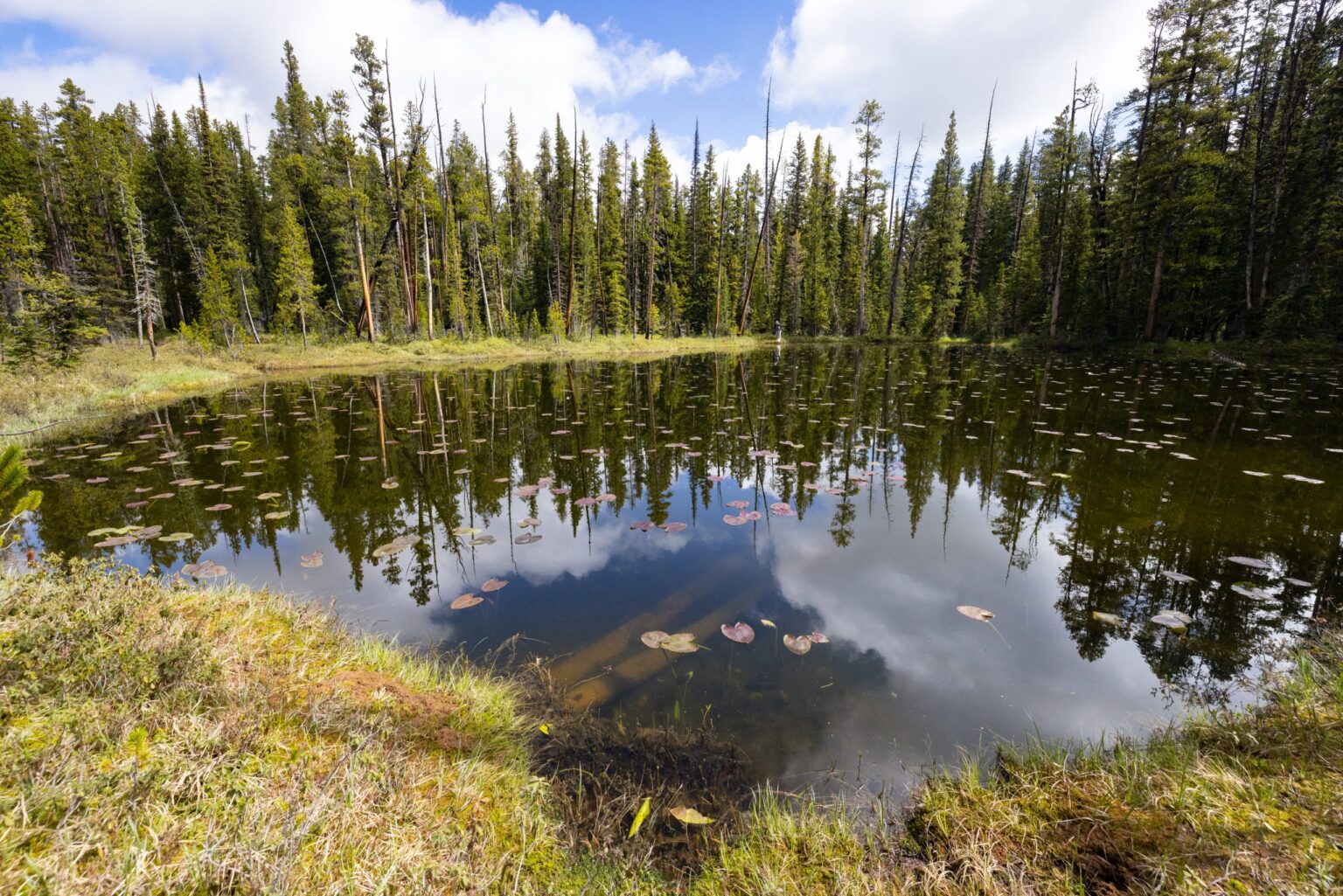 ‘Emergency’ energy order could threaten Wyo wetlands 'Emergency' energy order could threaten Wyo wetlands