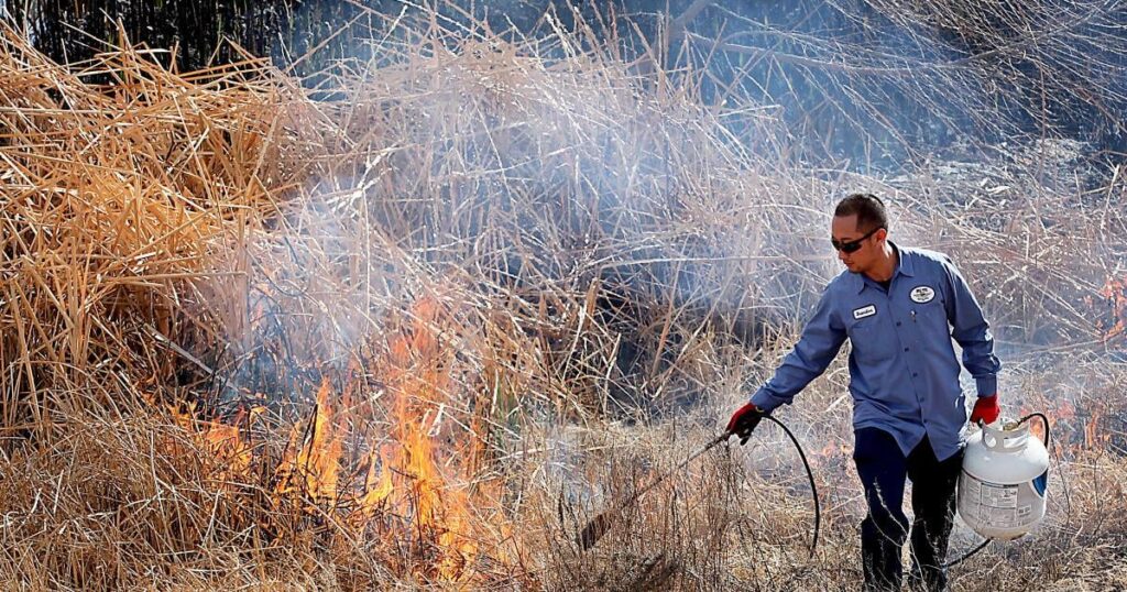 Controlled burns at environmental operations park begin Tuesday | Sierra Vista