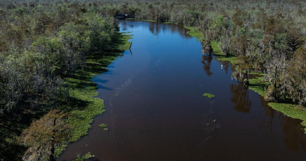 Carbon capture pipeline violates Louisiana law: lawsuit | Environment