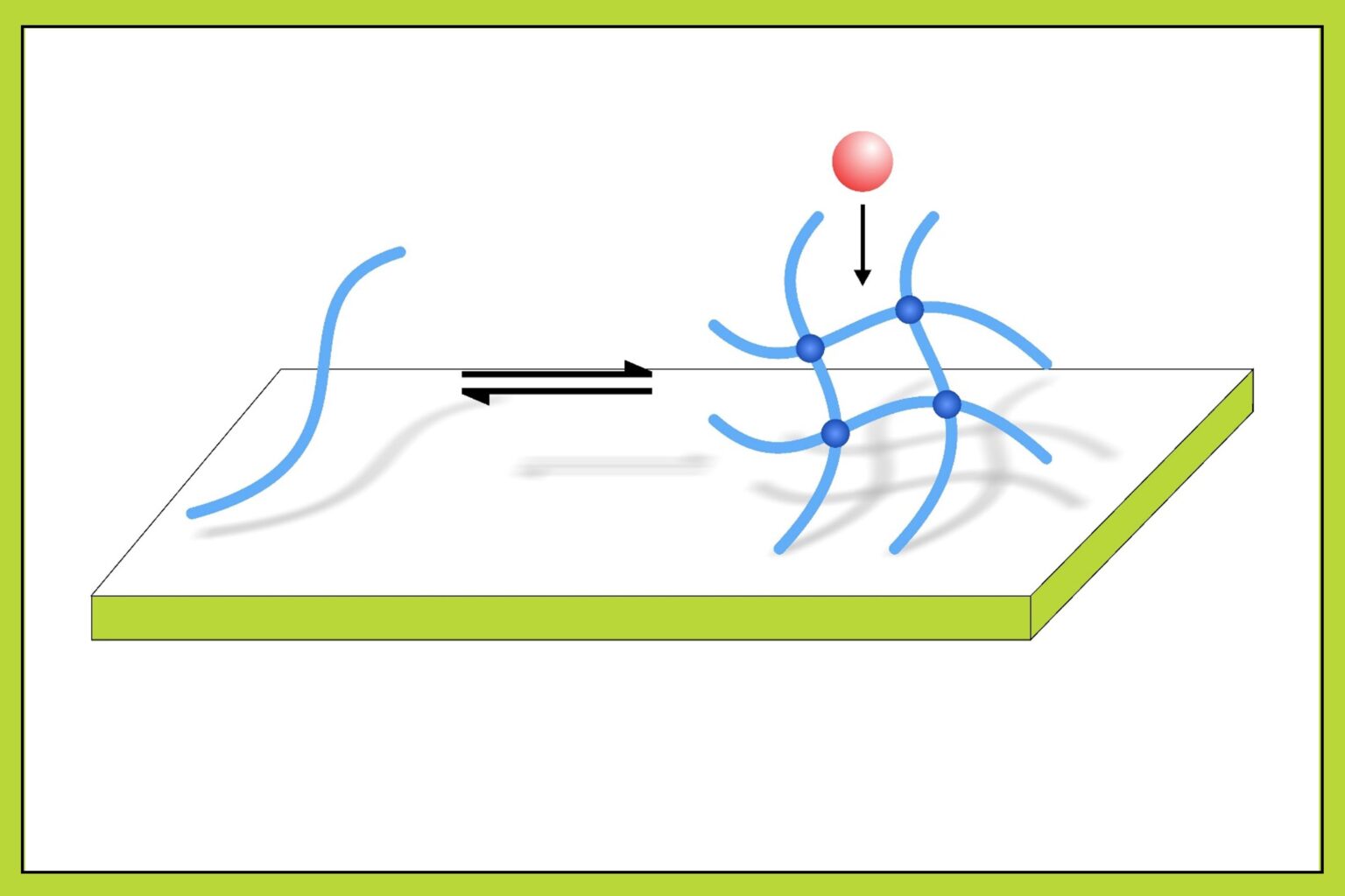 MIT engineers use mussels secretions and mucus to make infection-preventing glue | “These natural materials do better than existing commercialized adhesives, specifically at sticking to wet and underwater surfaces, which has been a longstanding technical challenge.”