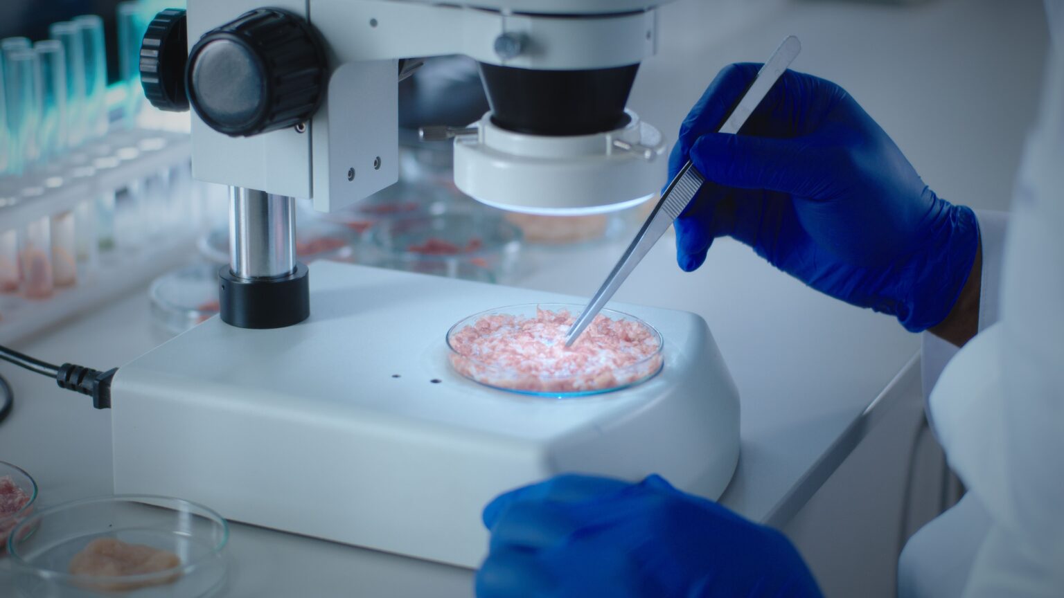 World’s first lab-grown meat pet treats launched in the UK