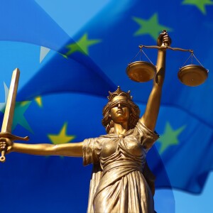 Disinformation code of practice to be integrated into EU Digital Services Act