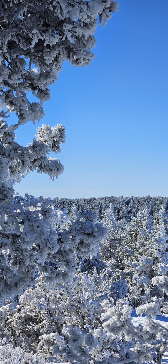Snow in Puerto de Valdelinares, February 2025