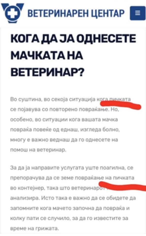 Google translate at it's best