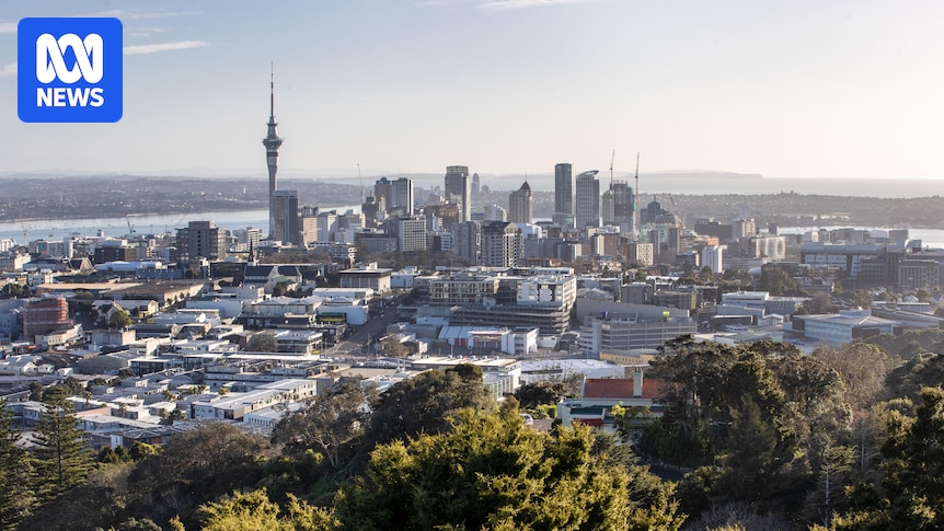 Inflation has fallen in Australia and NZ, but which is faring better?
