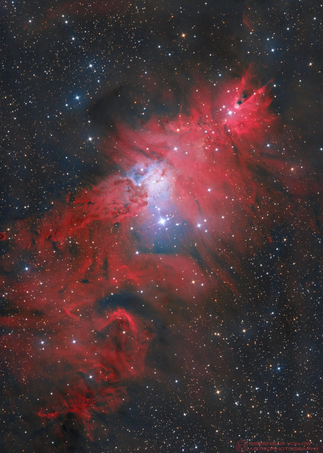 Christmas Tree Cluster photographed from my Backyard