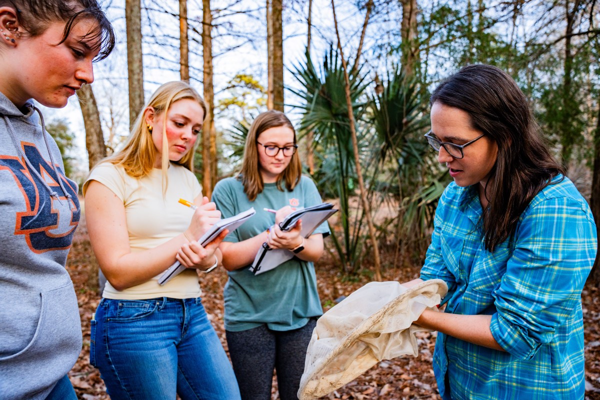 Auburn Environmental Science students conducting research at the arboretum on campus.