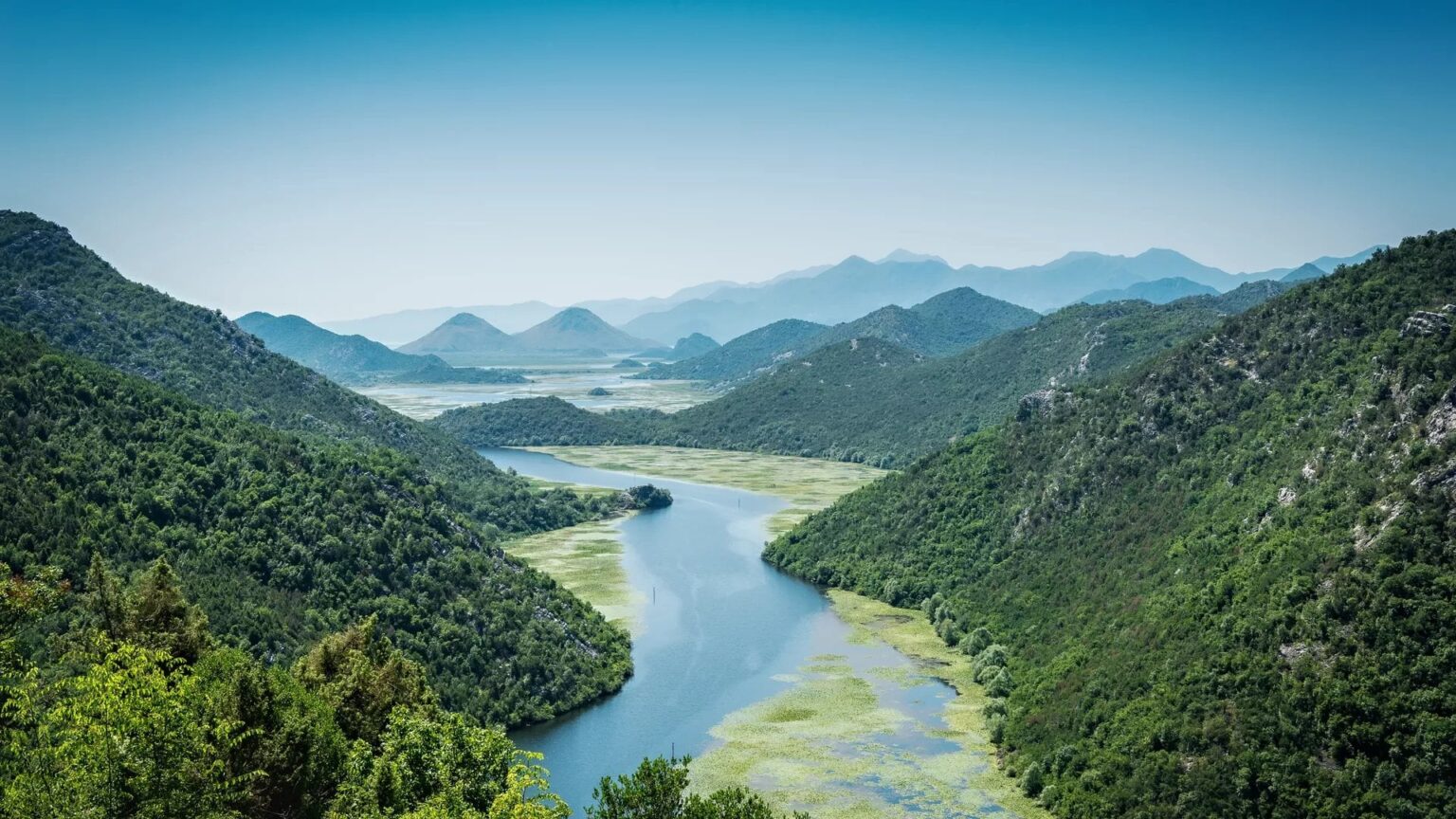 Scientists turn fog into fresh water with new tech, fuel hope for driest regions | Fog collectors could yield between 0.2 and 5 liters per square meter daily, with peak potential reaching 10 liters per square meter in optimal conditions.