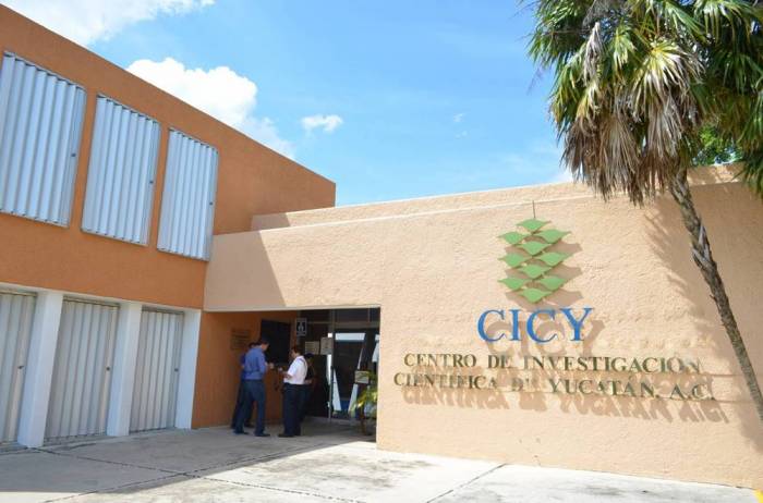 Septic Tank for Green Energy Production Developed by Yucatecan Researchers – The Yucatan Times